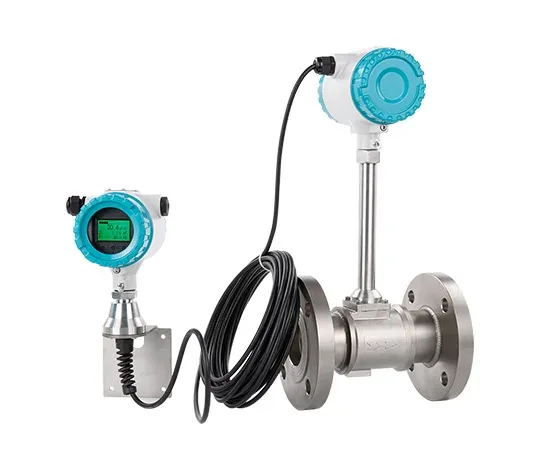Vortex Flow Meter